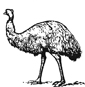 emu